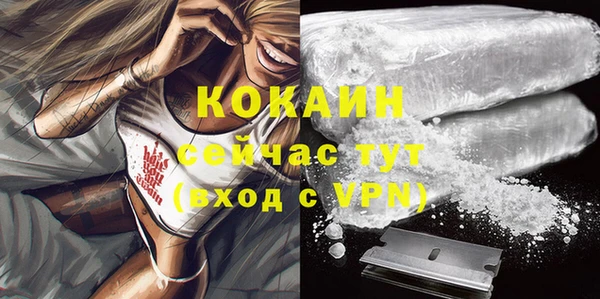 стаф Абаза