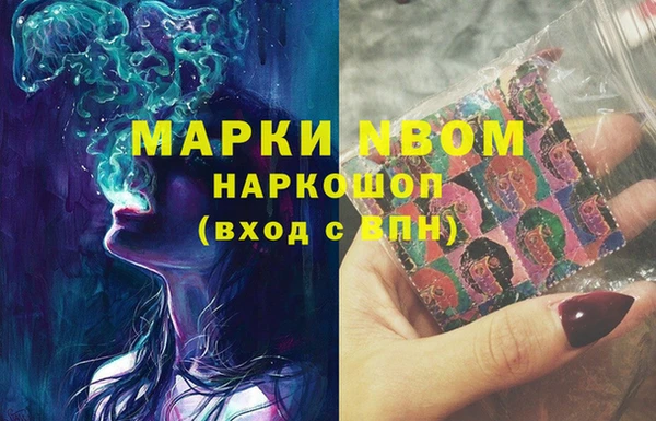 стаф Абаза