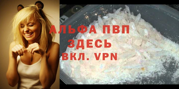 PSILOCYBIN Россошь