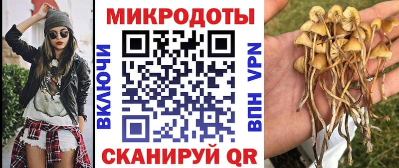 mega ССЫЛКА Лодейное Поле Галлюциногенные грибы Psilocybe